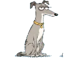 Greyhound