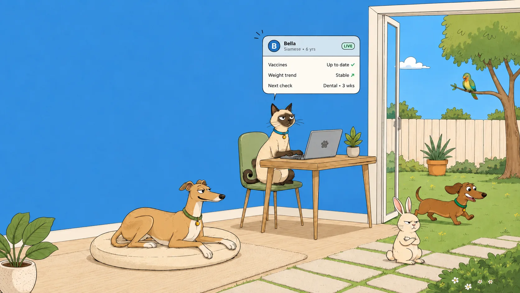 A siamese cat at a laptop, a greyhound and a rabbit resting in a sunlit room